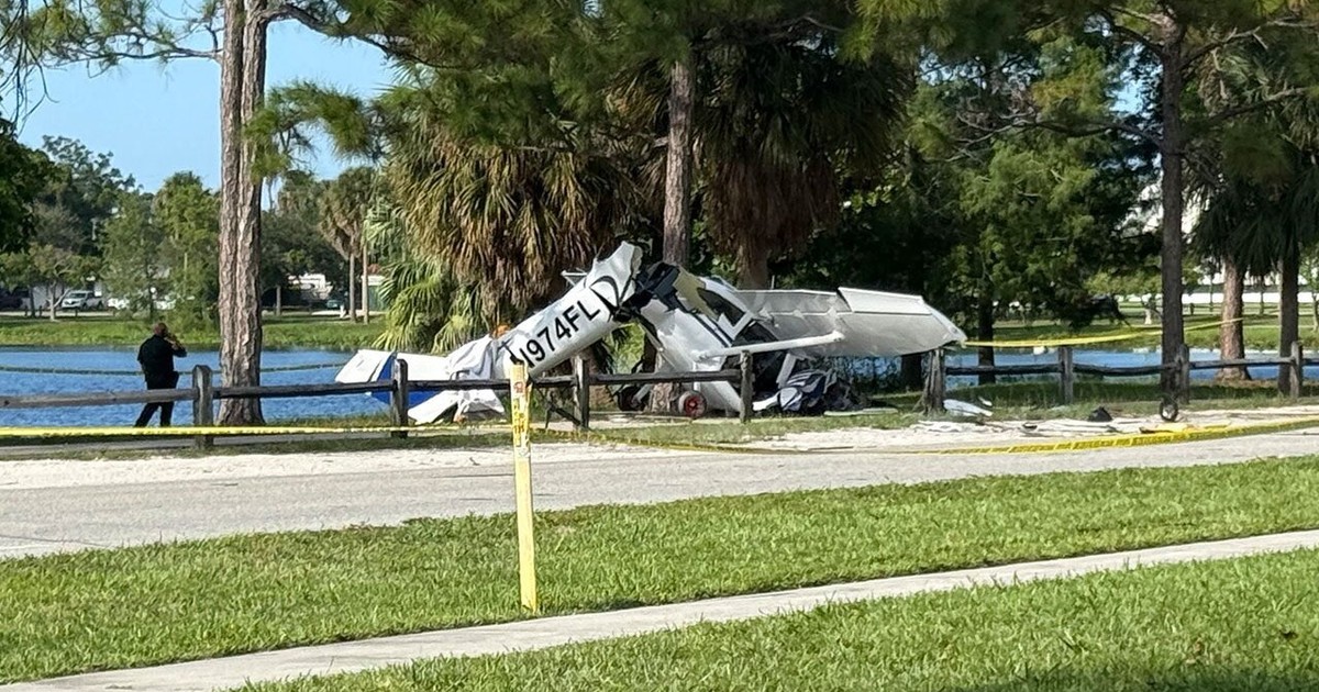 Tragedia en Florida: una avioneta se estrelló contra un auto y dejó siete heridos